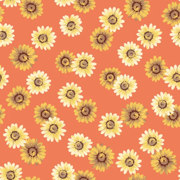 Margaret flower pattern — Stock Photo, Image