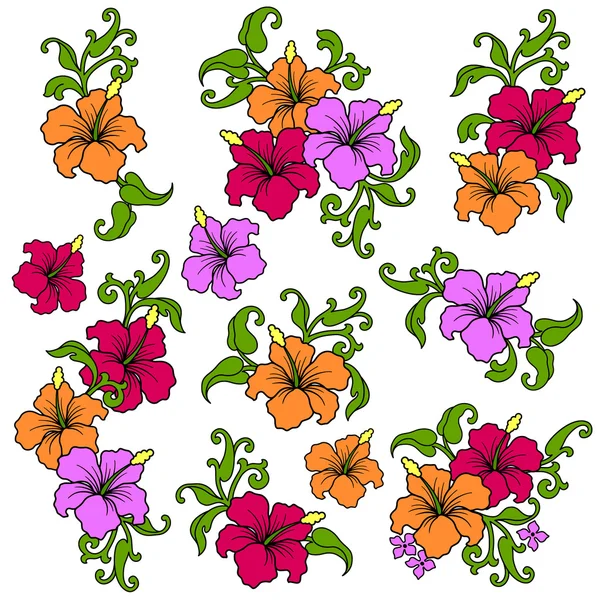 Tropical flower illustration — Stock Vector