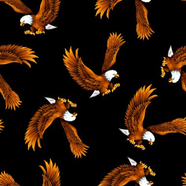 Haliaeetus leucocephalus desen