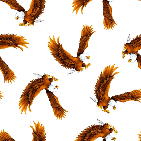 Haliaeetus leucocephalus pattern — Stock Photo, Image