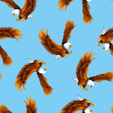 Haliaeetus leucocephalus desen