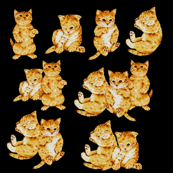 Pretty cat pattern — Stock Photo, Image