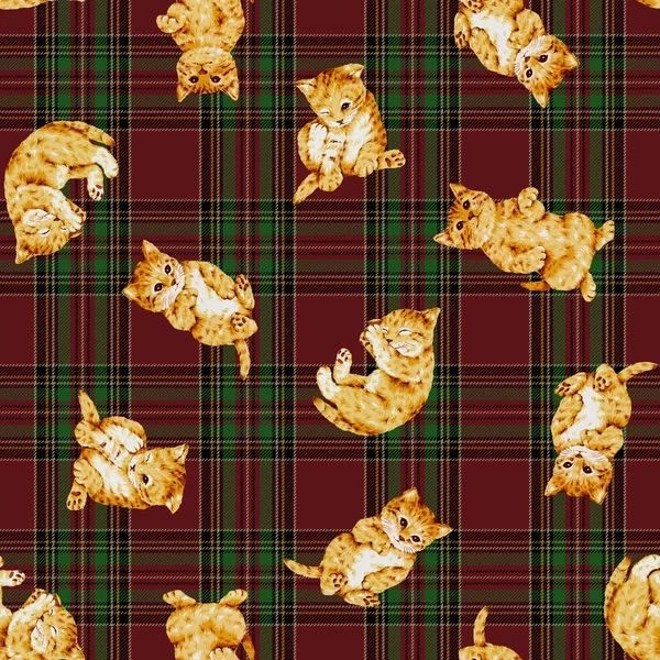 Pretty cat pattern — Stock Photo, Image