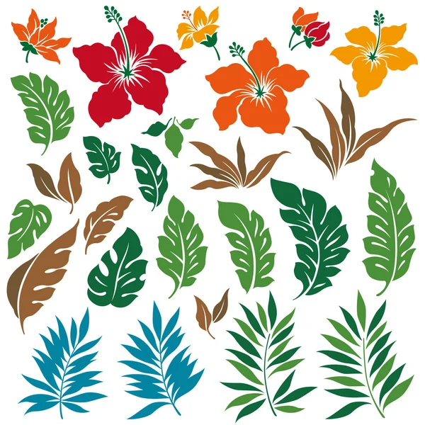 Illustrazione floreale tropicale — Vettoriale Stock