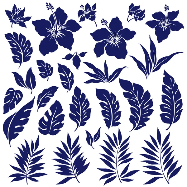 Tropisk blomma illustration — Stock vektor