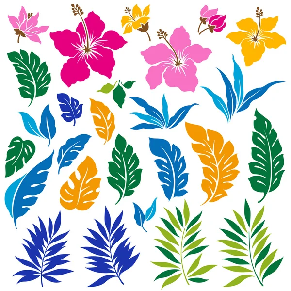 Тропическая иллюстрация цветов — стоковый вектор