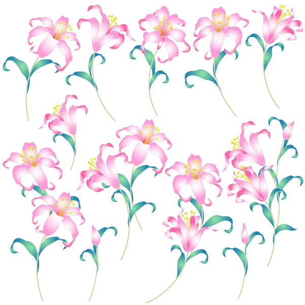 Japanese style lily — Stock Vector
