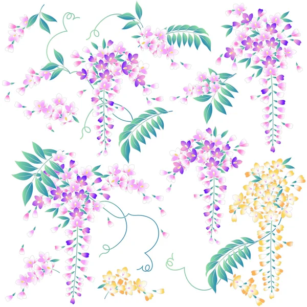 Japanese style wisteria — Stock Vector