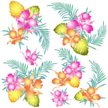 Tropikal orkide illüstrasyon