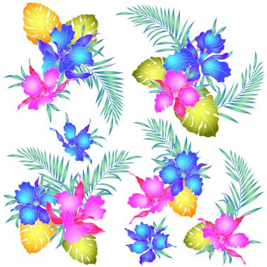 Tropikal orkide illüstrasyon