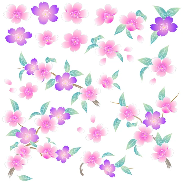 Japonský styl třešňový květ — Stockový vektor
