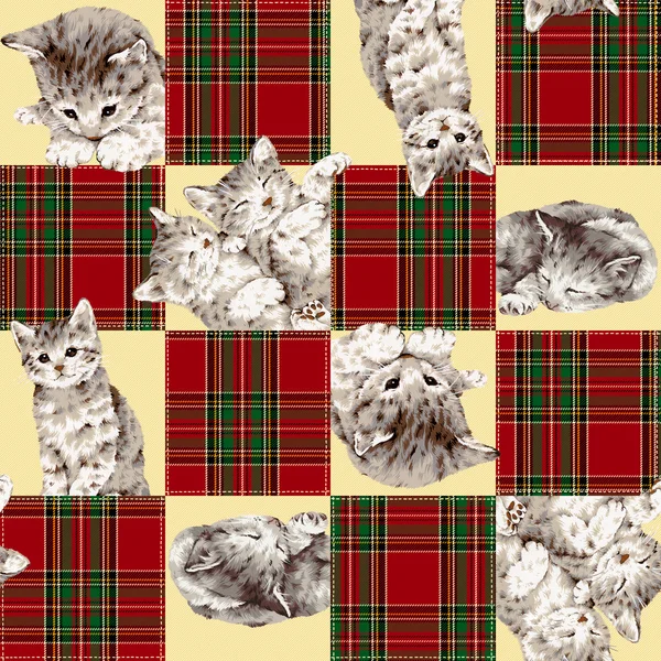 Pretty cat pattern — Stock Photo, Image