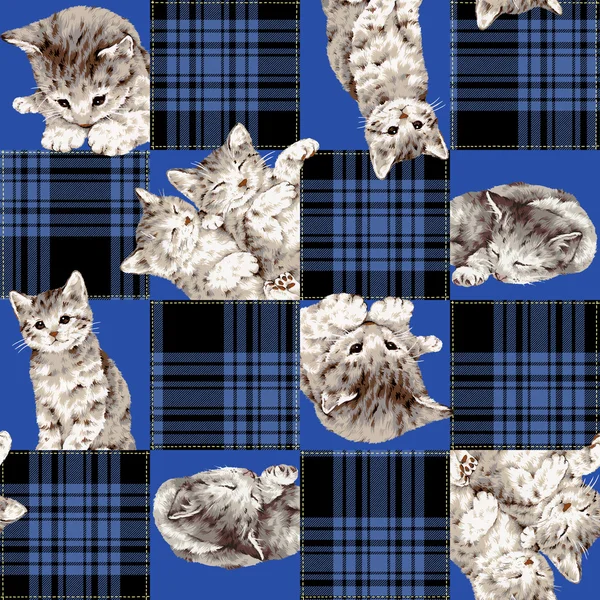 Pretty cat pattern — Stock Photo, Image