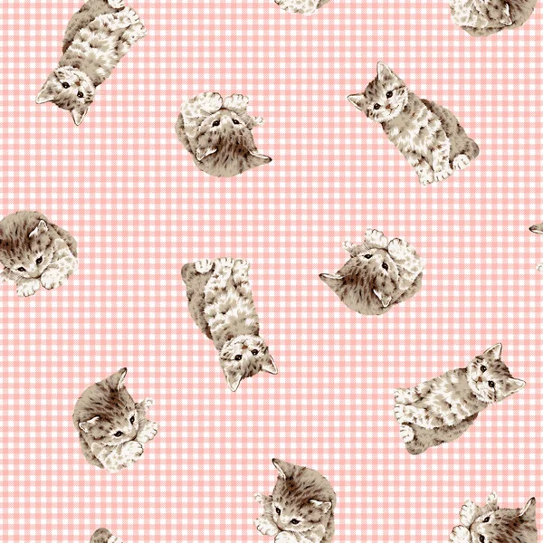 Pretty cat pattern — Stock Photo, Image
