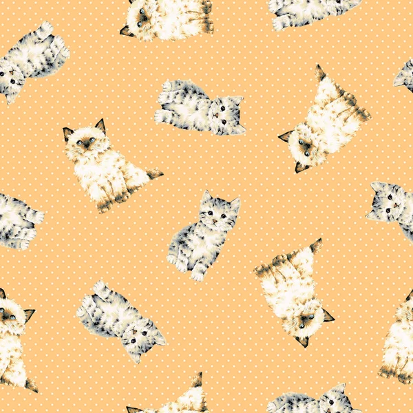 Pretty cat pattern — Stock Photo, Image