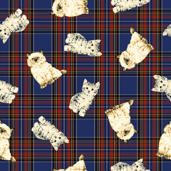 Pretty cat pattern — Stock Photo, Image