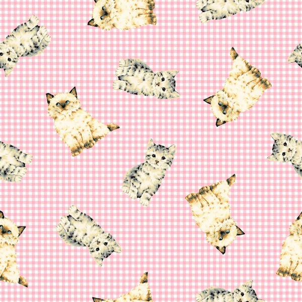 Pretty cat pattern — Stock Photo, Image