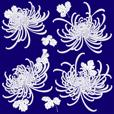 Japon tarzı Kasımpatı çiçeği