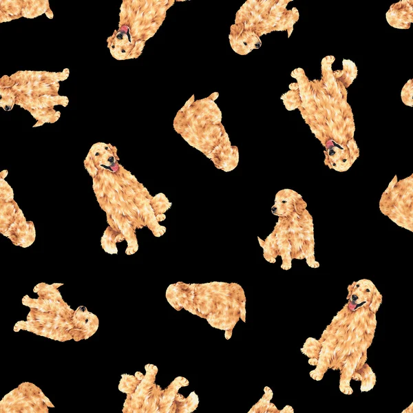 Pretty dog pattern — Stock Photo, Image