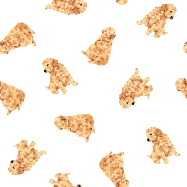 Pretty dog pattern — Stock Photo, Image