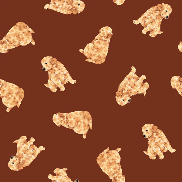 Pretty dog pattern — Stock Photo, Image