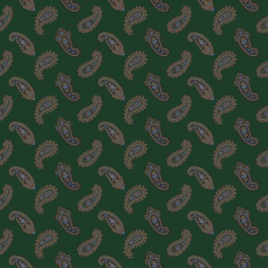 Paisley illüstrasyon model