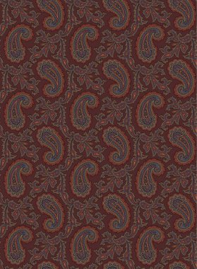 Paisley illüstrasyon model