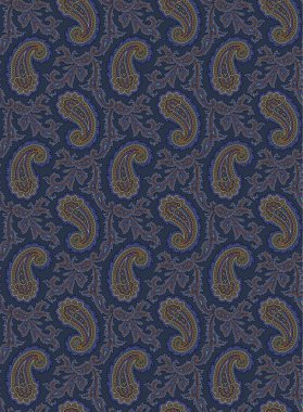 Paisley illüstrasyon model