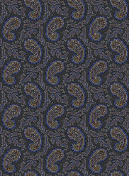 Paisley illüstrasyon model — Stok Vektör