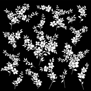 Güzel çiçek illüstrasyon materyali koleksiyonu,