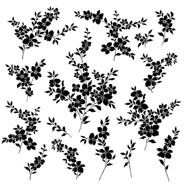 Vacker Blomma Illustration Material Samling — Stock vektor