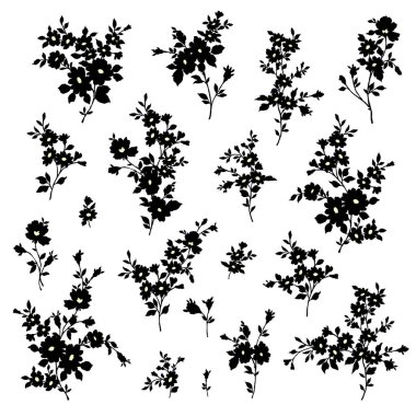 Güzel çiçek illüstrasyon materyali koleksiyonu,