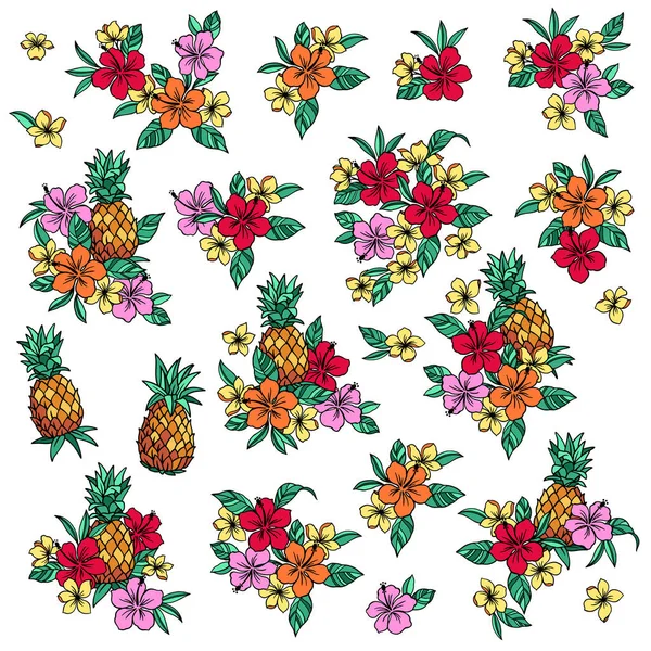 Illustrationsmaterial Samling Hibiskus Och Ananas — Stock vektor