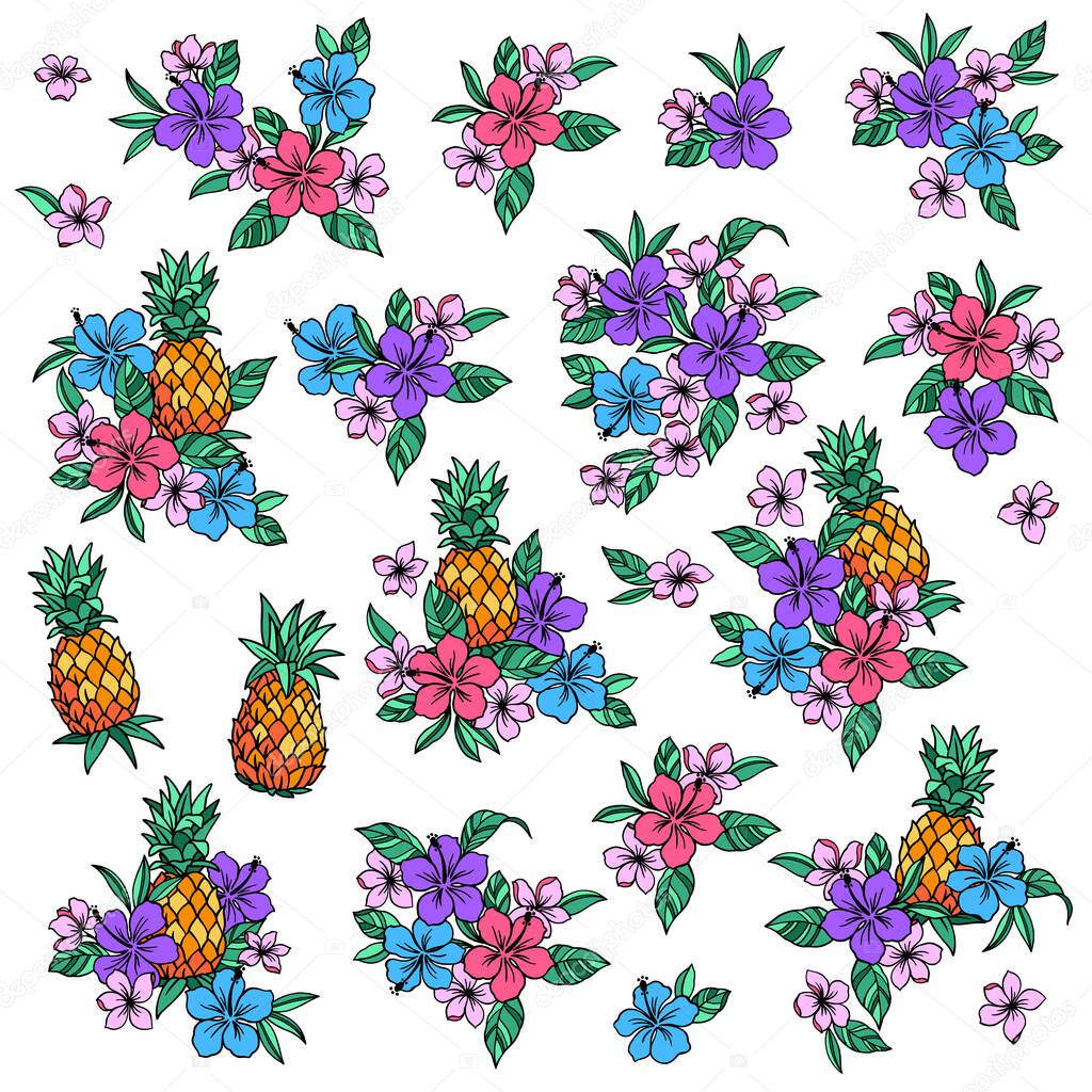 Illustration material collection of hibiscus and pineapple,