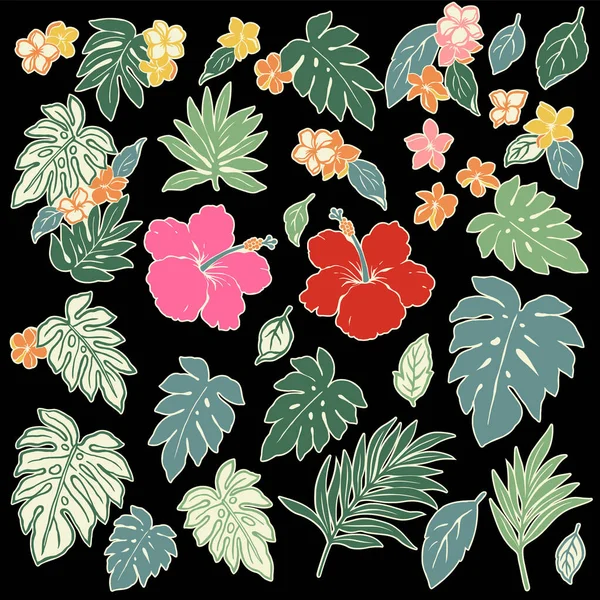 Tropical Flower Vector Illustration Material Collection Made Background Illustration Hibiscus — Stock Vector