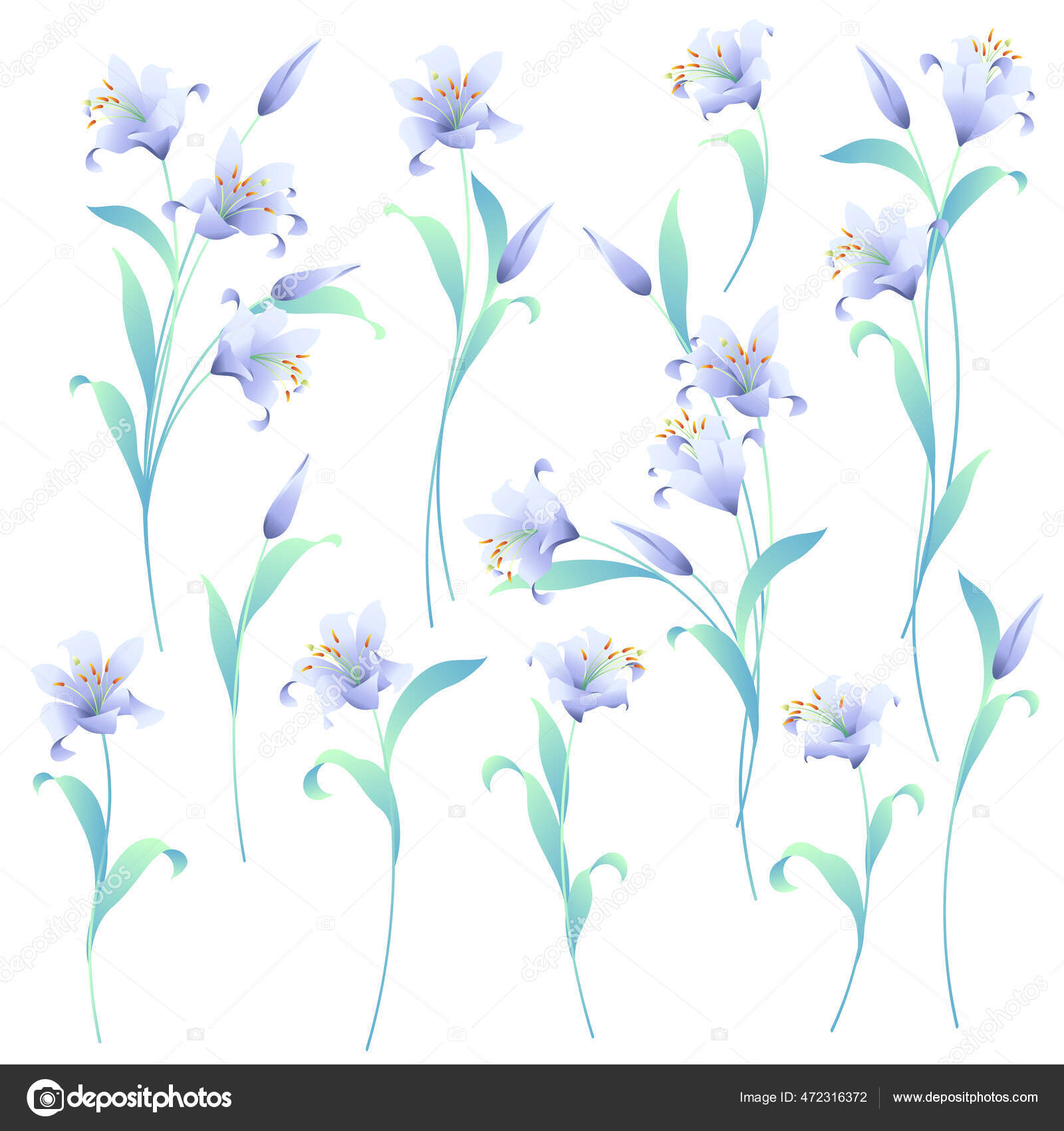 Japanese Lily Illustration Material Collection Expressing Lilies Using