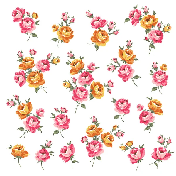美丽的玫瑰插图材料收藏 — 图库矢量图片