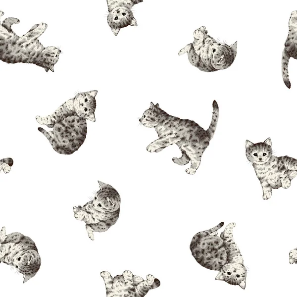 Bezešvé Vzor Roztomilé Realistické Kočičí Ilustrace — Stockový vektor