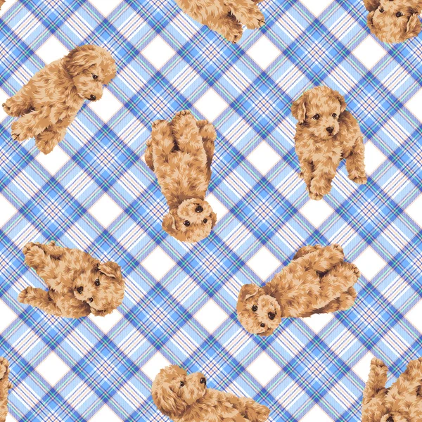 Pattern of dog — Stock Photo, Image