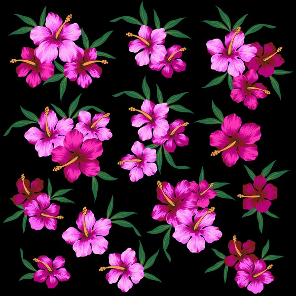 Illustration de l'Hibiscus — Image vectorielle