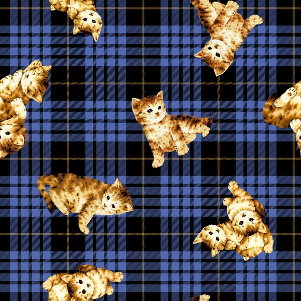 Pattern of cat — Stock Photo, Image