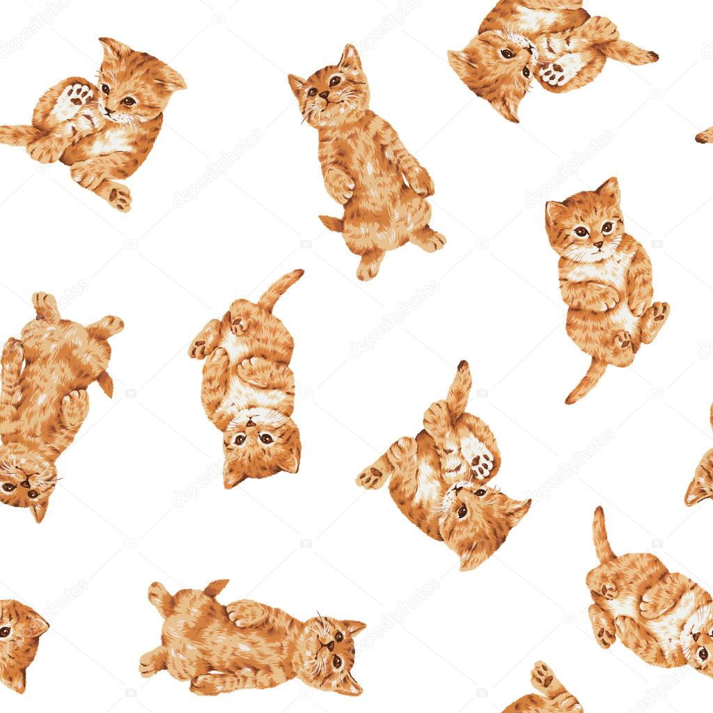 Pattern of cat