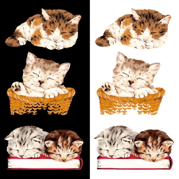 Ilustración de Cat —  Fotos de Stock