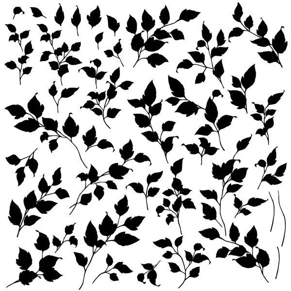 Illustration des plantes — Image vectorielle