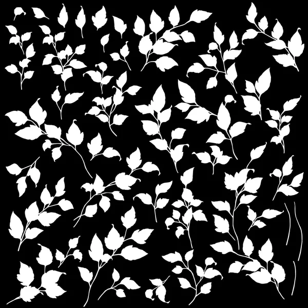 Illustration des plantes — Image vectorielle