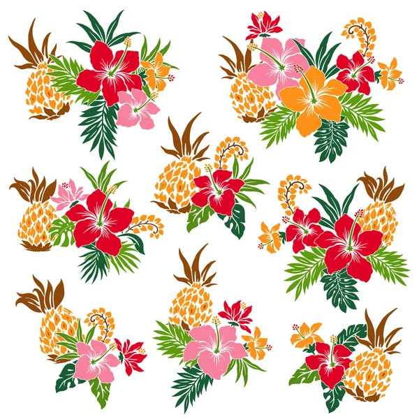 Ilustración de Hibiscus — Archivo Imágenes Vectoriales