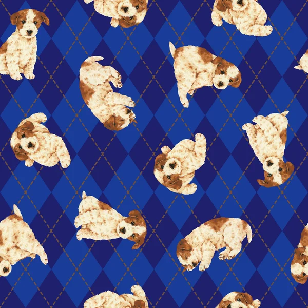 Hond patroon — Stockfoto