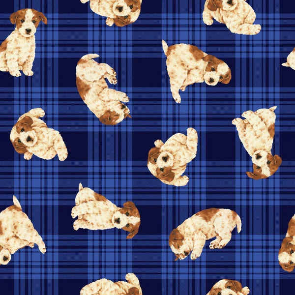 Dog pattern — Stock Photo, Image