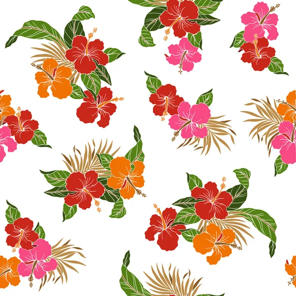 hibiscus paterni