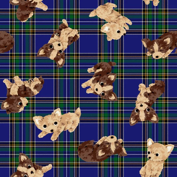 Dog pattern — Stock Photo, Image